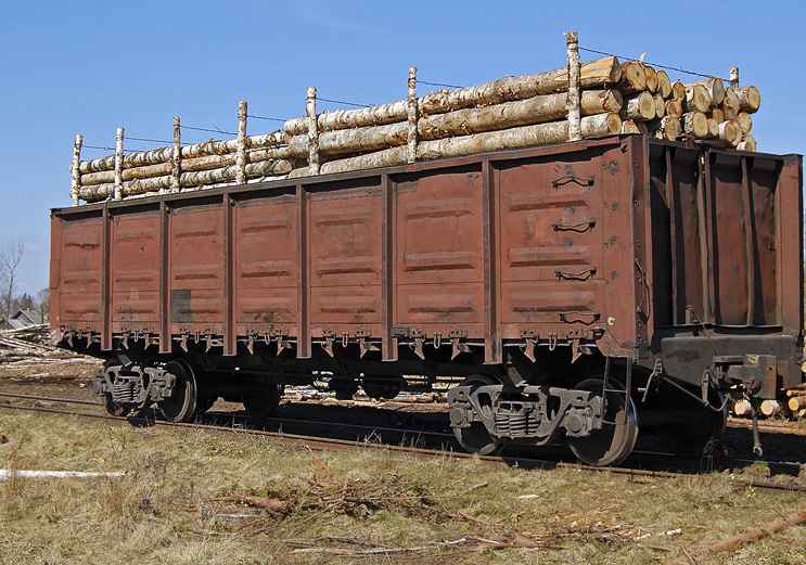 Перевозка ЛЕСА вагонами из Котельнича в Пскова